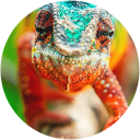 jesvs gonzalez Avatar